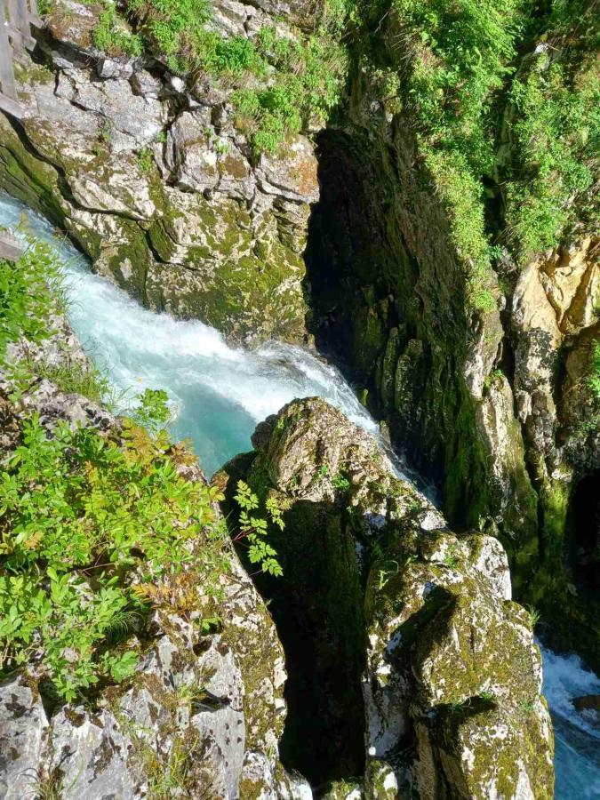 Apartma Marjetica Ii. Blejska Dobrava Luaran gambar