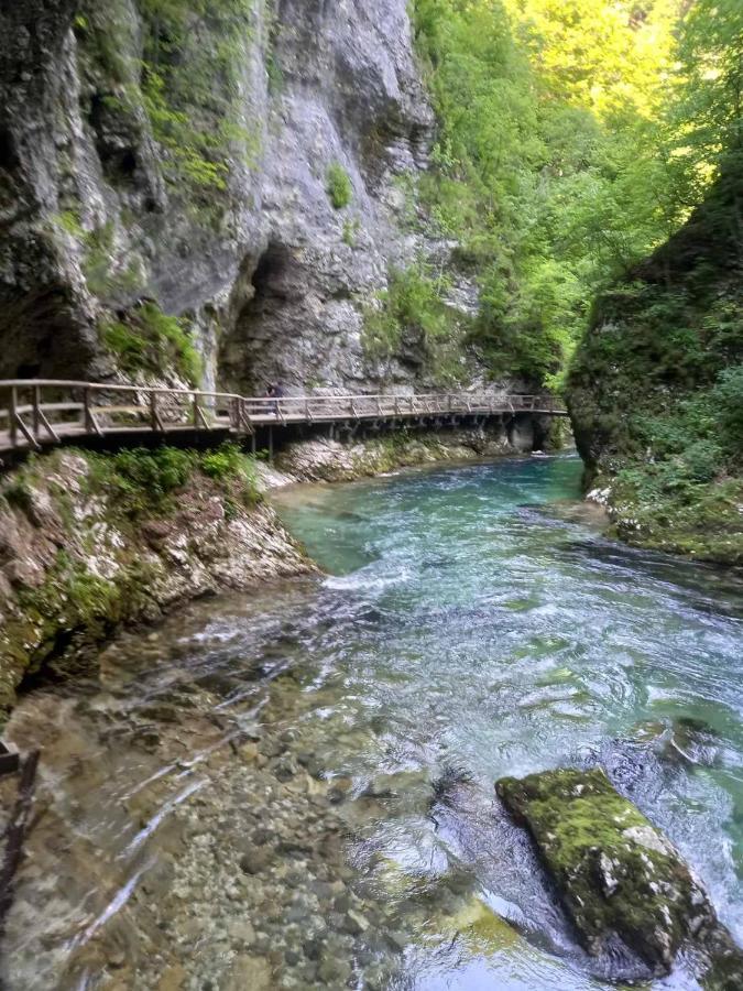 Apartma Marjetica Ii. Blejska Dobrava Luaran gambar