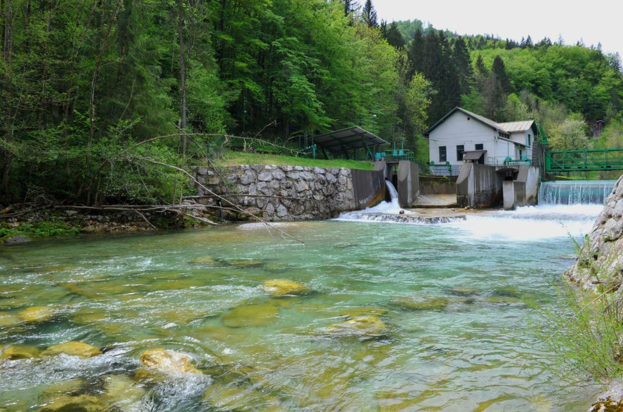 Apartma Marjetica Ii. Blejska Dobrava Luaran gambar